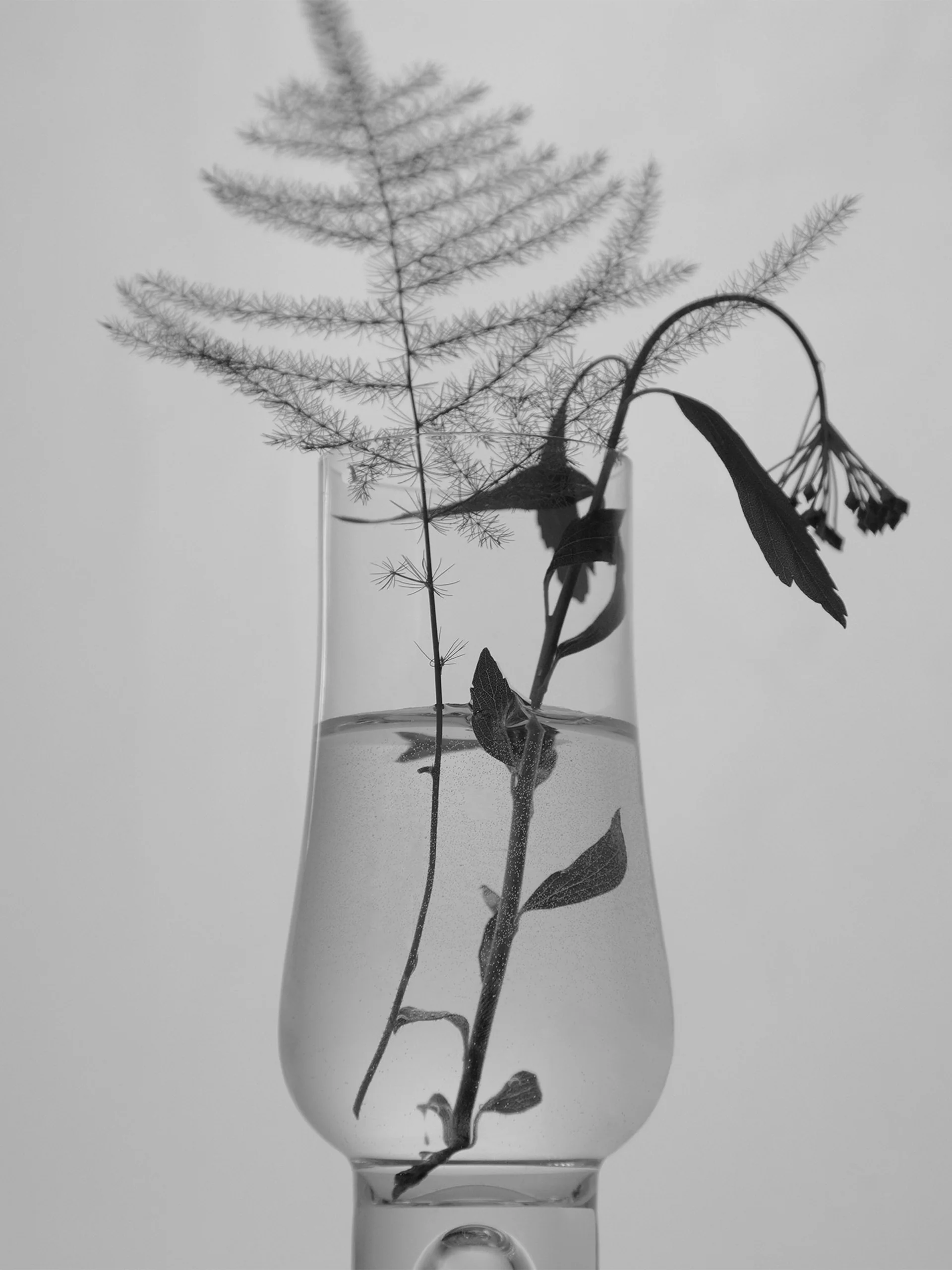 HYEJA Heartleaf Niacinamide Calming Serum - Image 6