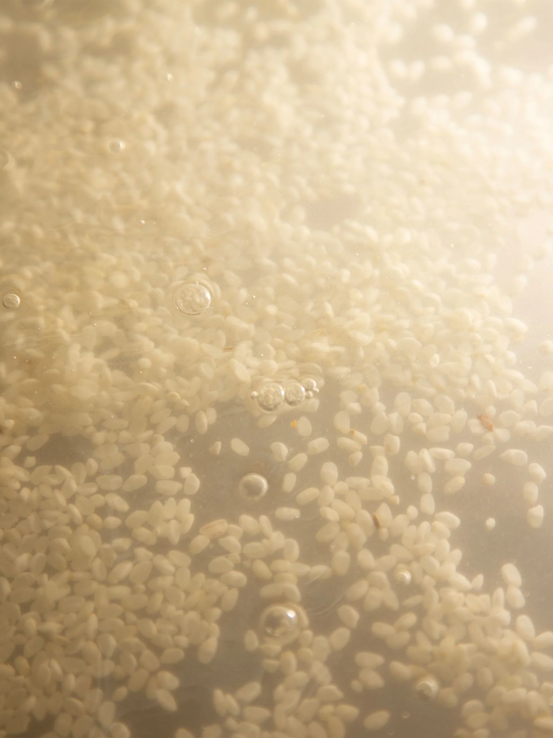 HYEJA Rice Probiotics Cleansing Milk - Image 6